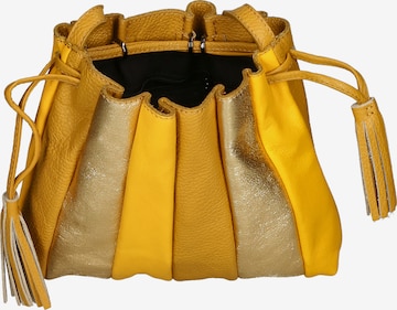 Gave Lux Buideltas in Geel: voorkant