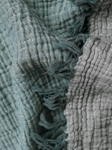 Barine Blankets in Grey