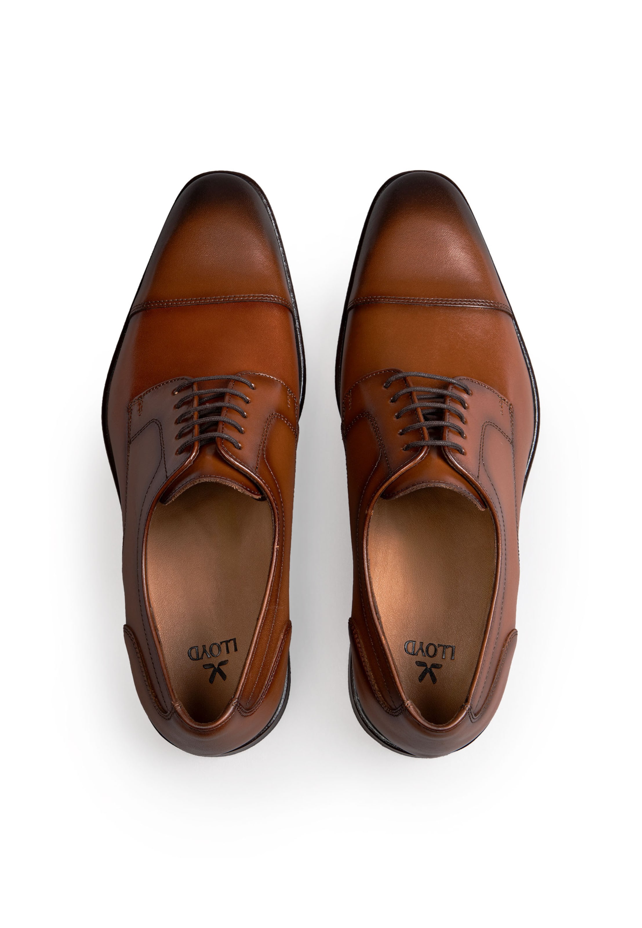 LLOYD Lace-Up Shoes in Brown