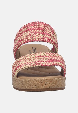 JOSEF SEIBEL Slip-ons in Red