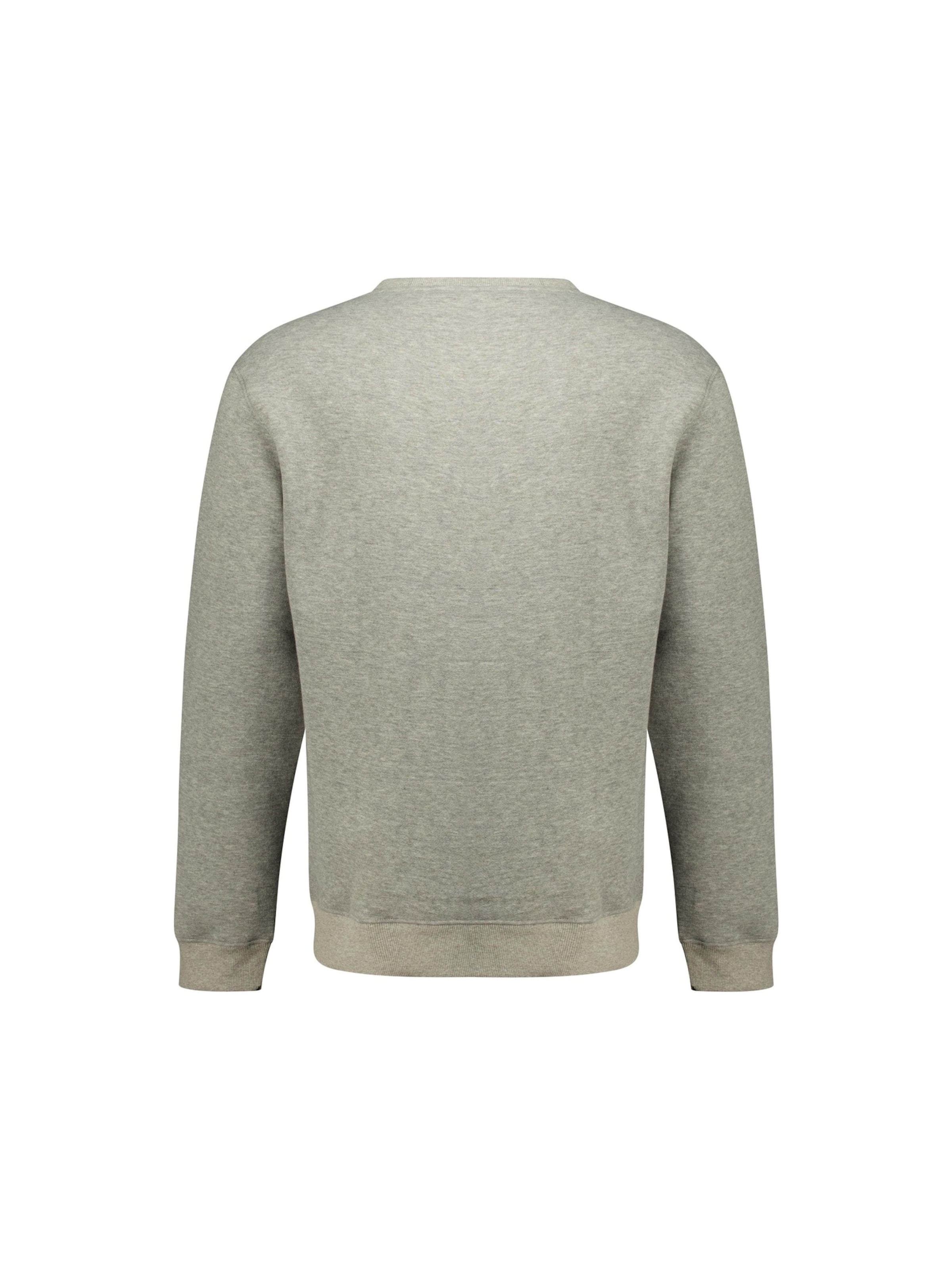 Sweat-shirt 'BENOR' Deeluxe en gris : devant
