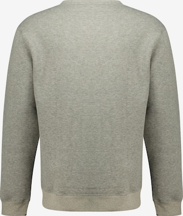 Sweat-shirt 'BENOR' Deeluxe en gris : devant