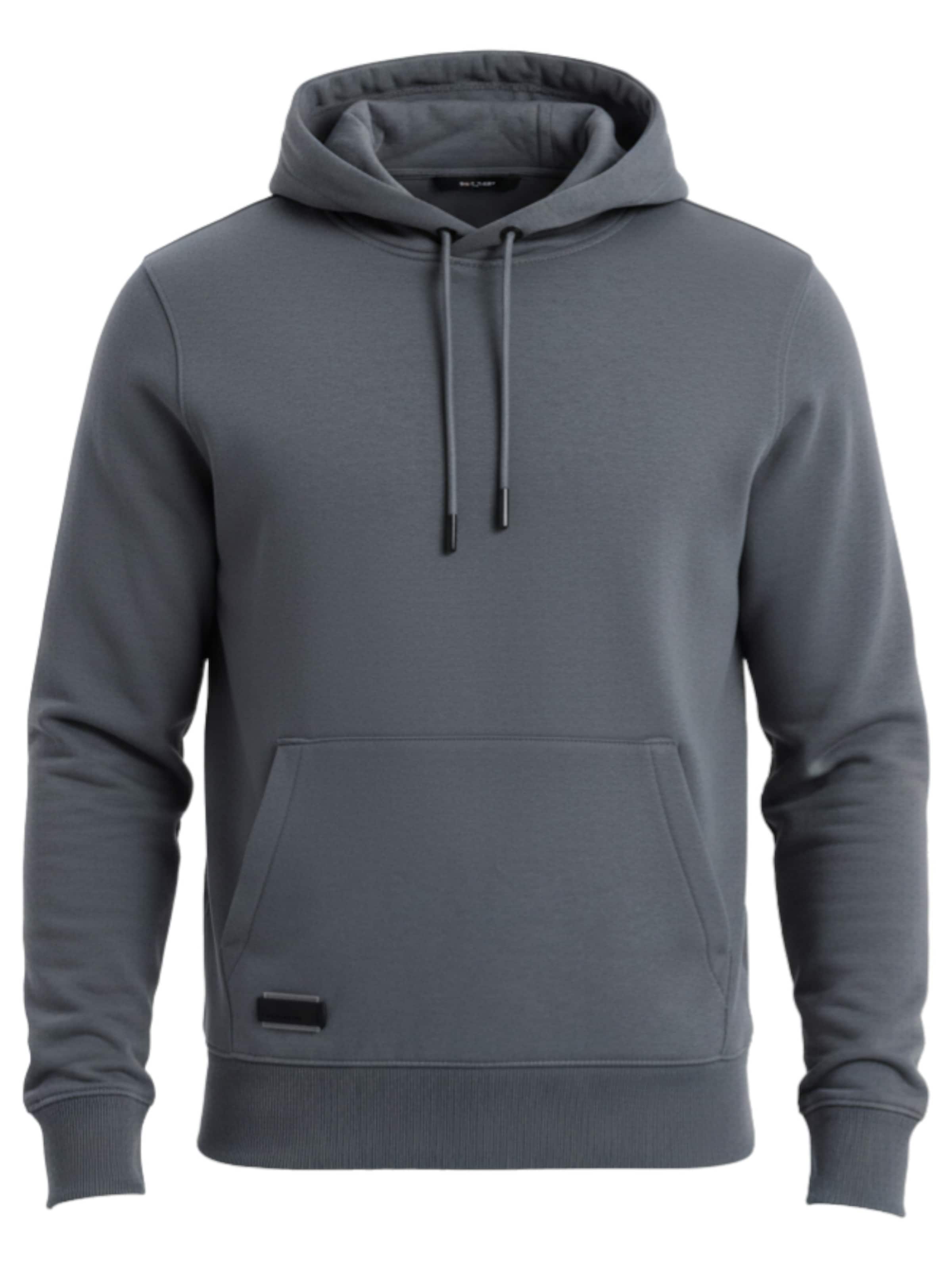 Ombre Sweatshirt 'OM-SSBN-0161' in Grey: front