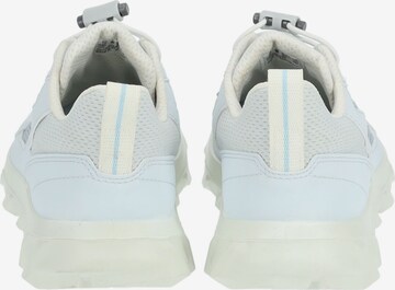 Baskets basses ECCO en bleu