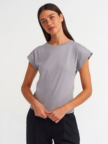 Dilvin Shirt in Grijs: voorkant