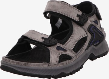 MEPHISTO Sandals in Grey: front