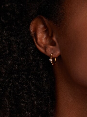 Lucardi Earrings in Gold: front