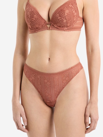 ETAM Thong 'Aura' in Beige