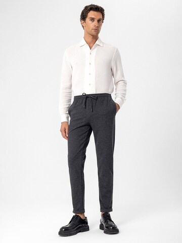 Regular Pantalon Antioch en gris