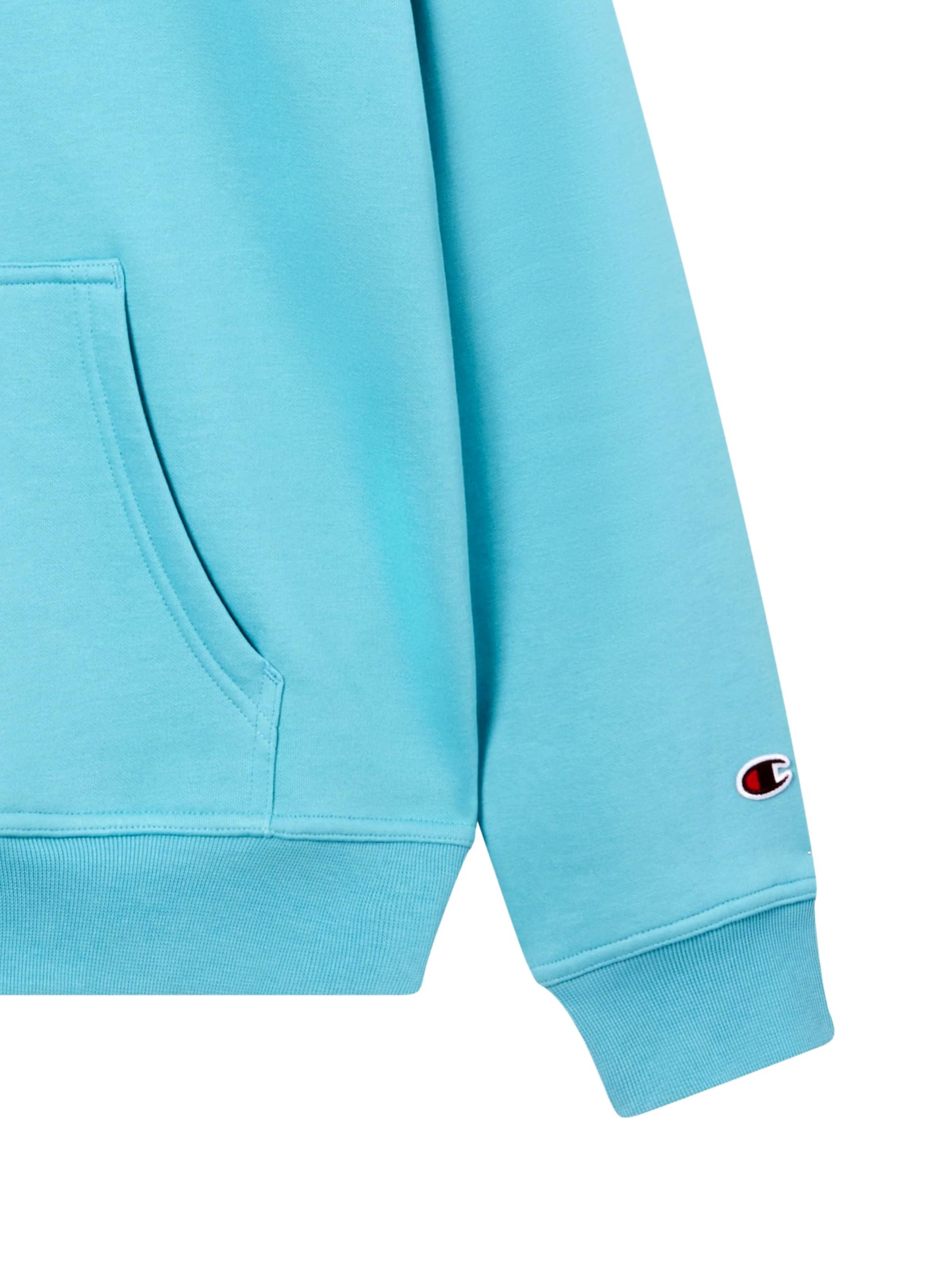 Pullover di Champion Authentic Athletic Apparel in blu