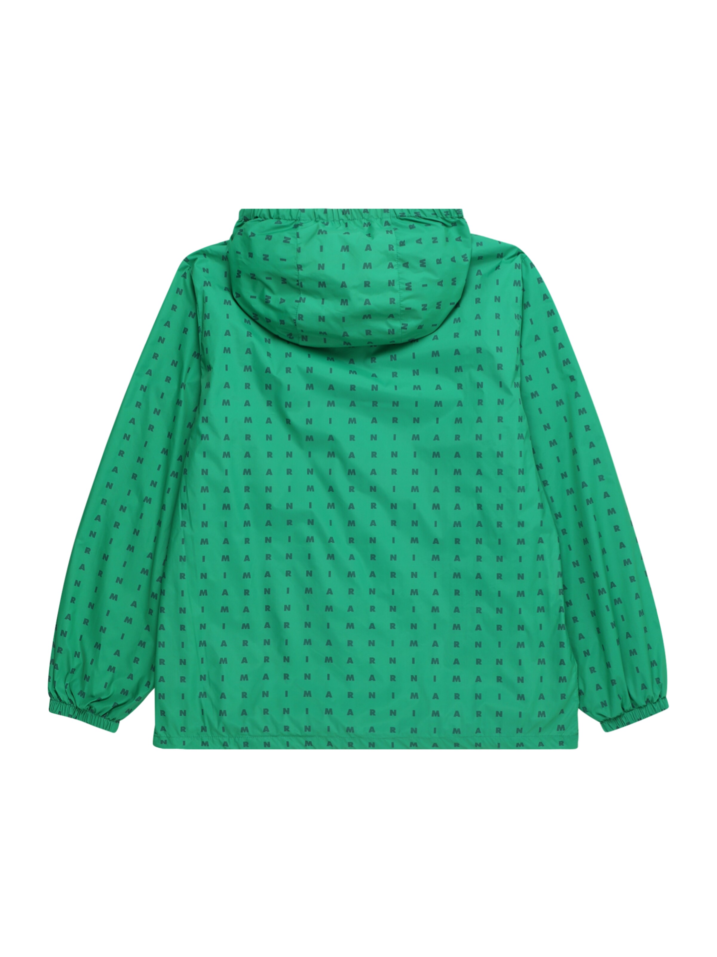 Marni Jacke in Grün