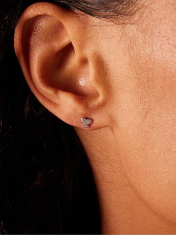 Lucardi Earrings in Silver: front