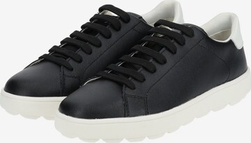 GEOX Sneaker in Schwarz