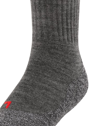 FALKE Socks 'Active Warm' in Grey