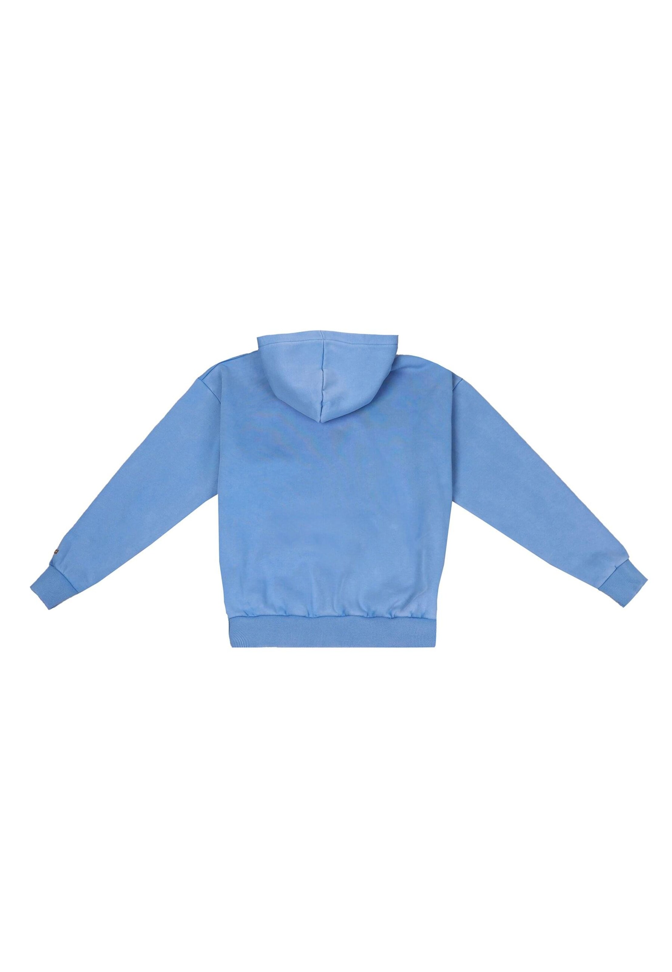 Dropsize Sweatshirt 'Embo' in Blue
