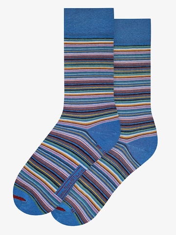 MuseARTa Socks 'Sven Birger Sandzen - Eine Bergsinfonie' in Mixed colors: front
