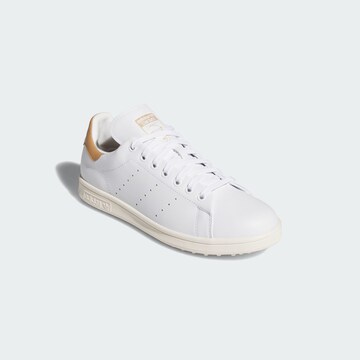 Chaussure de sport ADIDAS PERFORMANCE en blanc