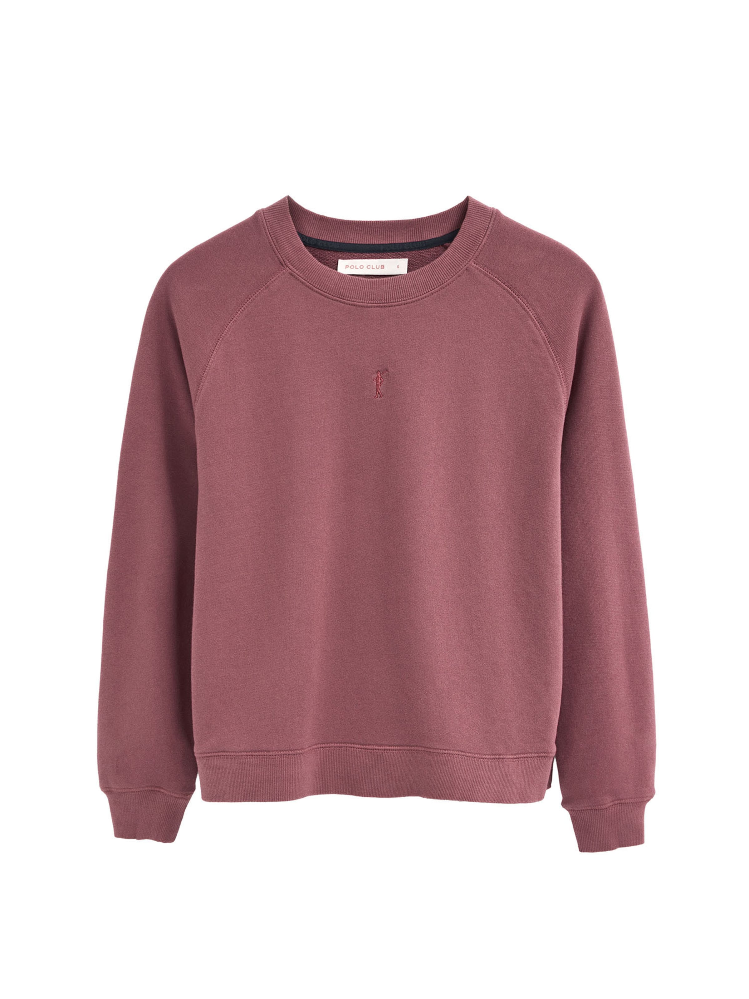 Polo Club Sweatshirt 'Rigby Go' in Pink: front
