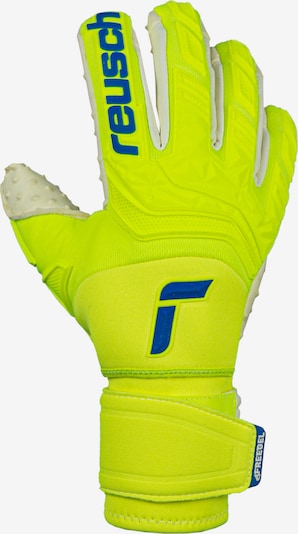 REUSCH Handschuh in blau / neongelb, Produktansicht