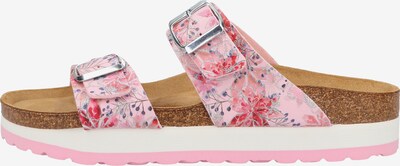 COSMOS COMFORT Pantolette in mischfarben / pink, Produktansicht