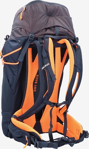 SALEWA Rucksack 'Alp Trainer' in Lila