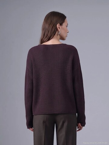 Dilvin - Pullover 'Pullover' em castanho