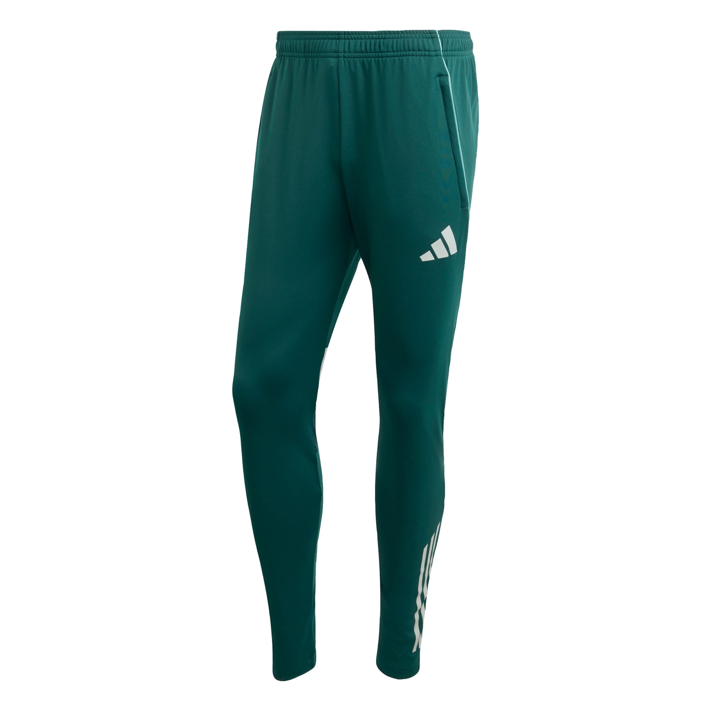 Slimfit Pantaloni sportivi 'FC Arsenal Tiro 25 Competition' di ADIDAS PERFORMANCE in verde: frontale