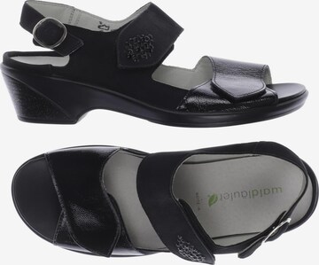 WALDLÄUFER Sandals & High-Heeled Sandals in 38 in Black: front