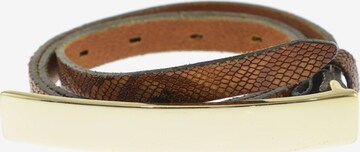 VANZETTI Belt in One size in Brown: front