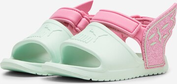 PUMA Beach & swim shoe 'Divecat v2 Injex' in Green