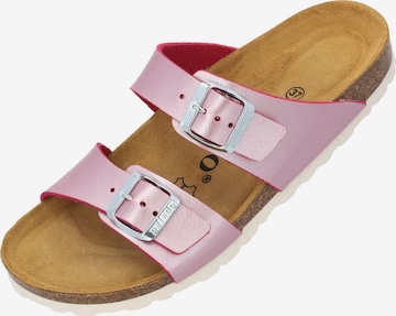 Palado Muiltjes in Roze: voorkant