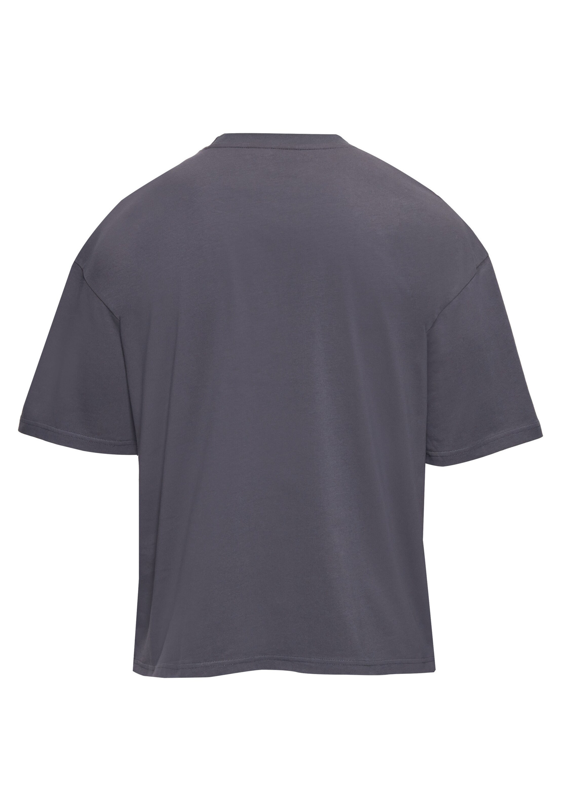 Dropsize - Camisa em cinzento