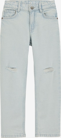 mėlyna WE Fashion Laisvas Džinsai: priekis