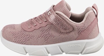GEOX Sneaker 'Aril' in Pink