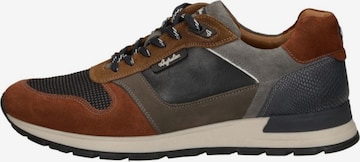 Australian Platform trainers 'Glastonburry' in Brown: front