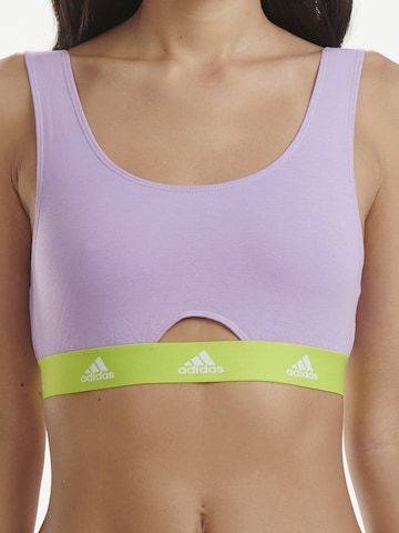 ADIDAS SPORTSWEAR Bustier Bustier ' SCOOP BRALETTE ' in Lila: predná strana