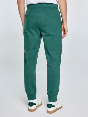 BIG STAR Tapered Trousers 'Kersyn' in Green