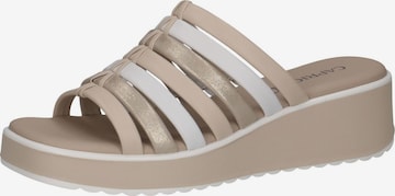 CAPRICE Pantolette in Beige: Vorderseite