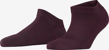 FALKE Füßlinge 'ClimaWool' in Rot: Vorderseite