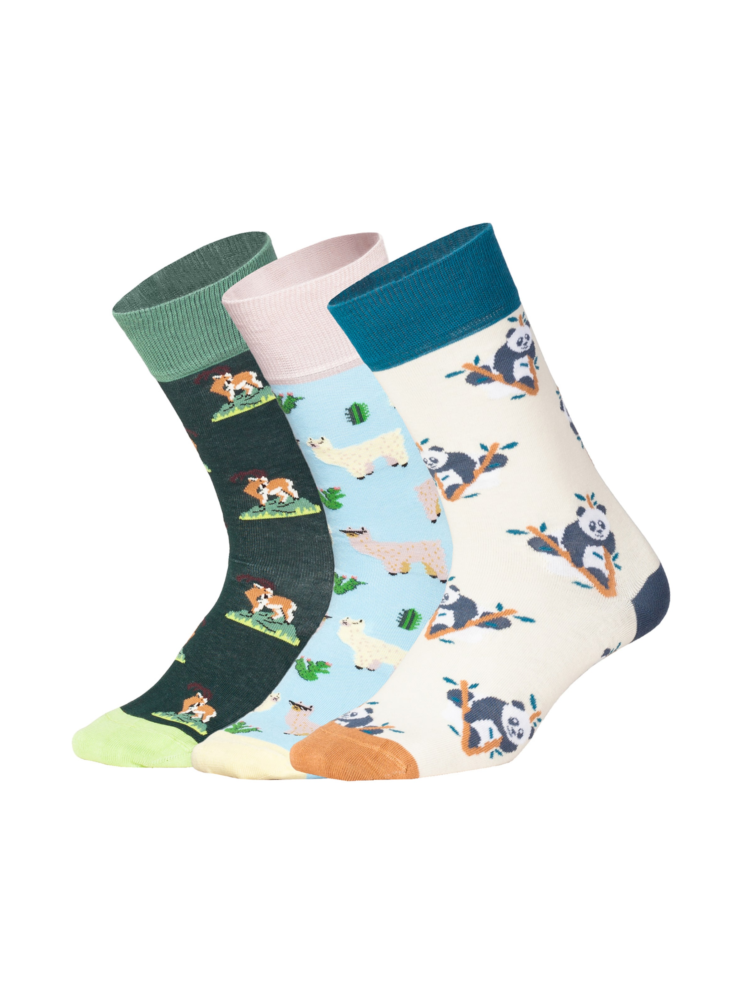 DillySocks Socken 'Animal Adventures' in Mischfarben: Vorderseite
