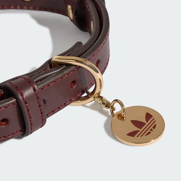 ADIDAS ORIGINALS - Acessórios para animais 'PET' em vermelho
