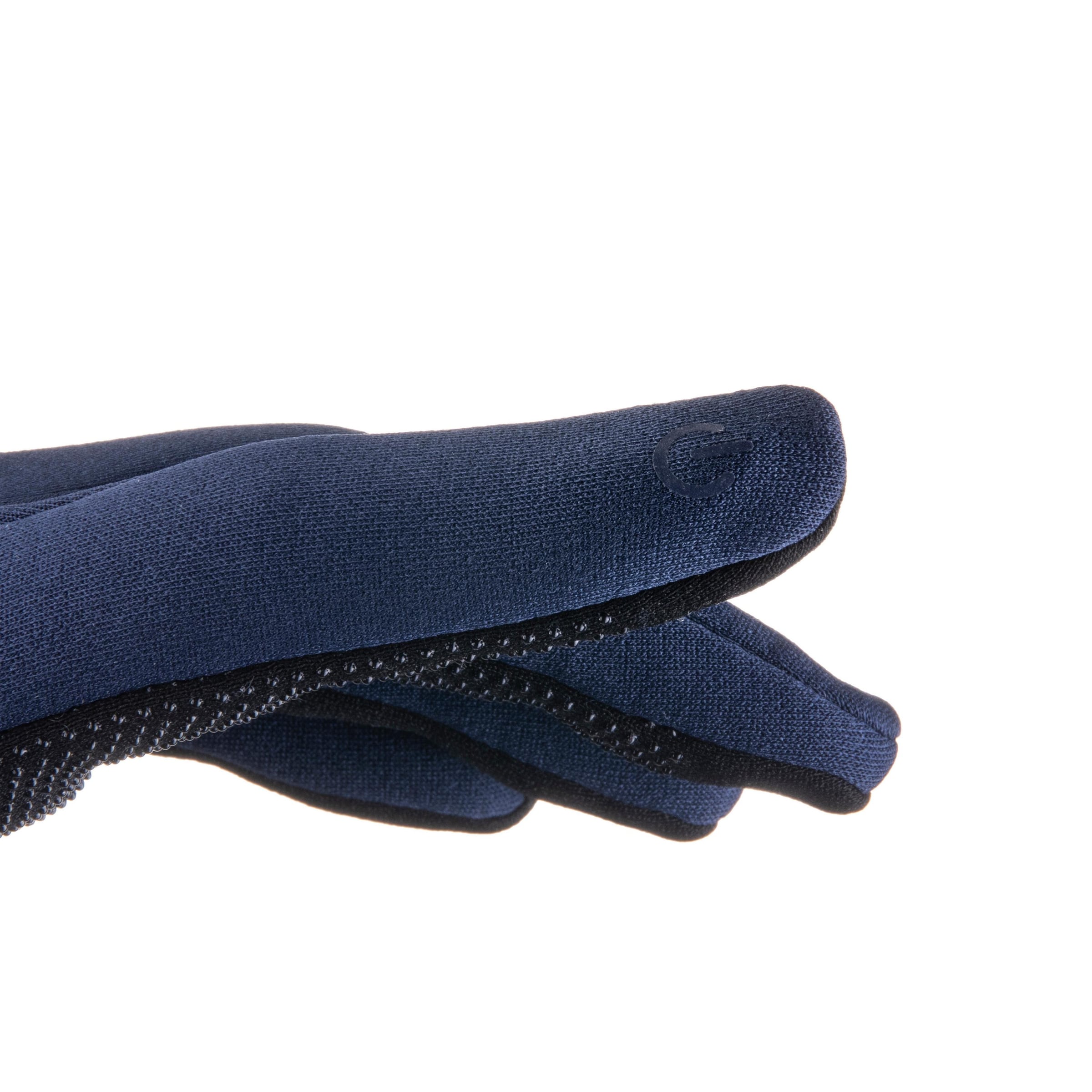 THE NORTH FACE - Luvas de desporto 'Etip' em azul