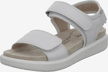 Westland Sandals 'Albi 01' in White: front