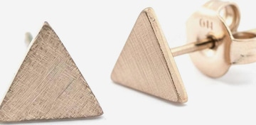 Sergio Engel Earrings in Gold: front