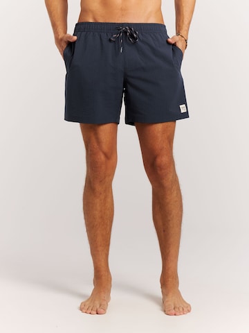 PROTEST Board Shorts 'PRTAgden' in Blue