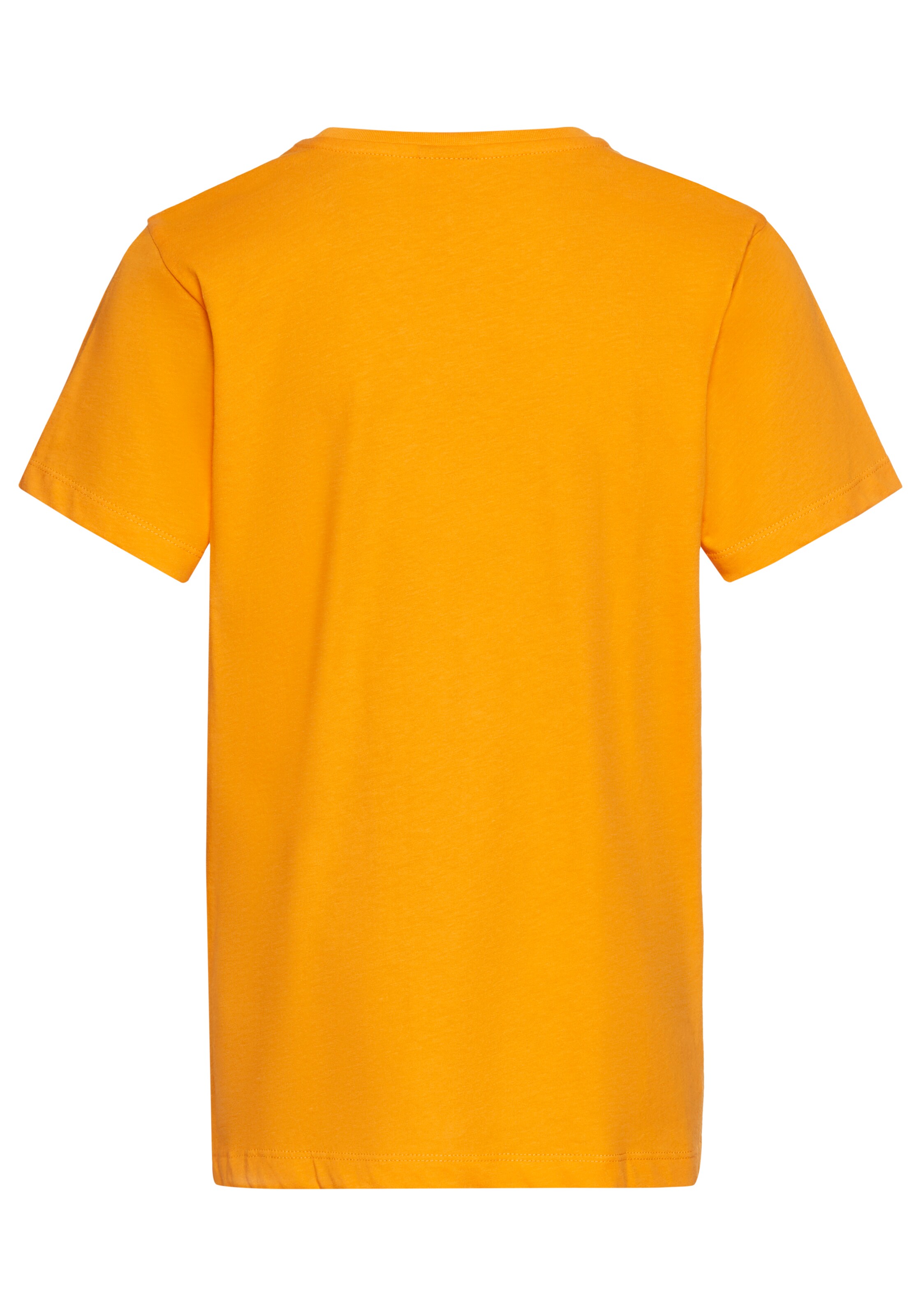 Kidsworld Shirt in Orange