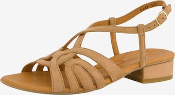 Paul Green Sandalen met riem in Bruin: voorkant