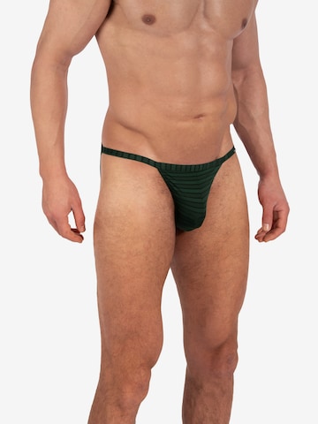 Olaf Benz Panty ' RED2329 Riotanga ' in Green: front