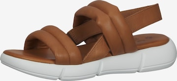 ILC Sandals in Brown: front