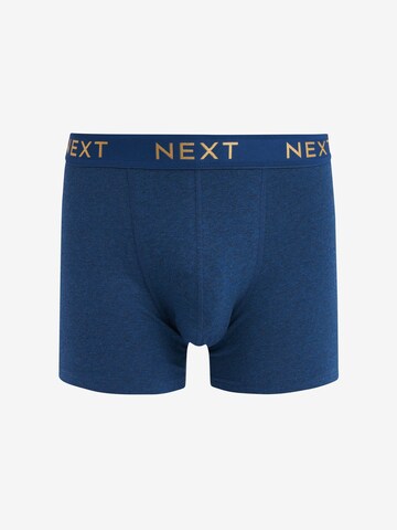Boxeri de la Next pe albastru